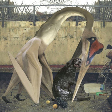 RHADOO | SEMANTICS | 12IN VINYL