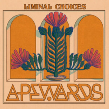 LIMINAL CHOICES | VINYL RECORD (LP)