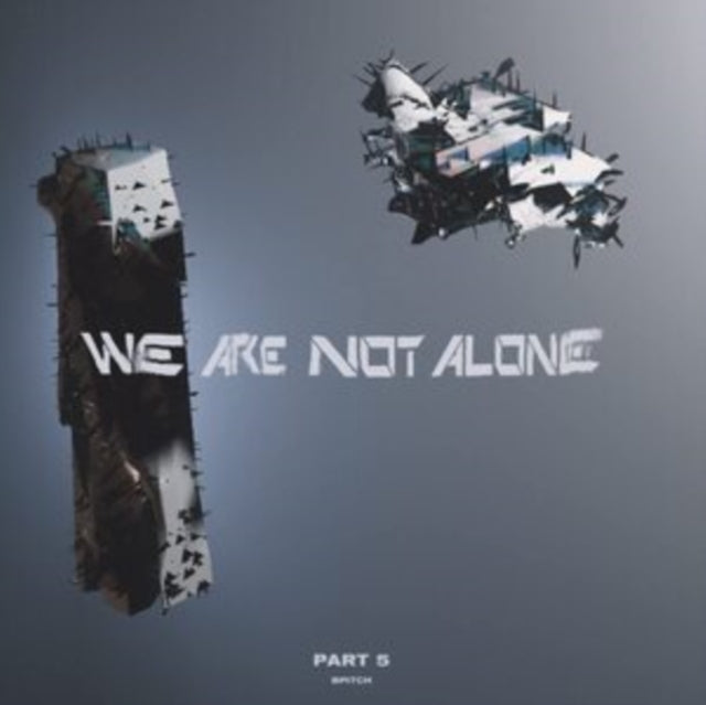 VARIOUS ARTISTS | WE ARE NOT ALONE - PART 5 (2LP) | VINYL RECORD (LP)