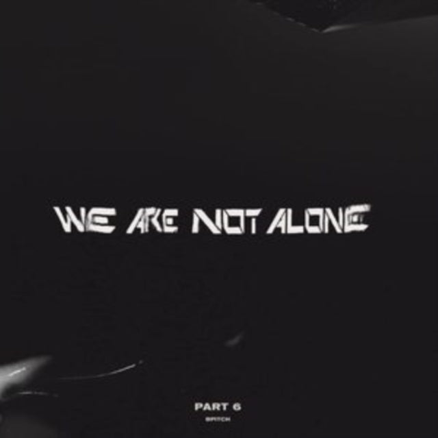 VARIOUS ARTISTS | WE ARE NOT ALONE - PART 6 (2LP) | VINYL RECORD (LP)