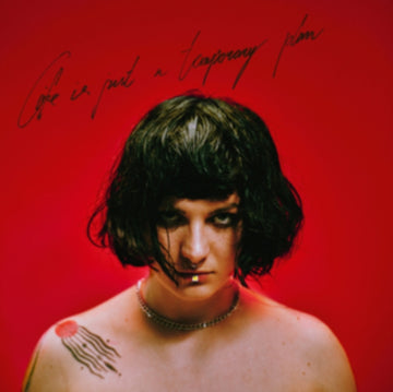 LIFE IS JUST A TEMPORARY PLAN | VINYL RECORD (LP)