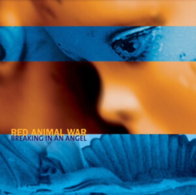 RED ANIMAL WAR | BREAKING IN AN ANGEL (COLOR VINYL) | VINYL RECORD (LP)