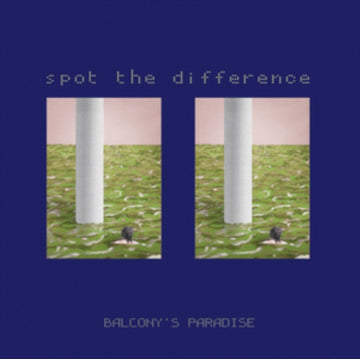 SPOT THE DIFFERENCE | VINYL RECORD (LP)