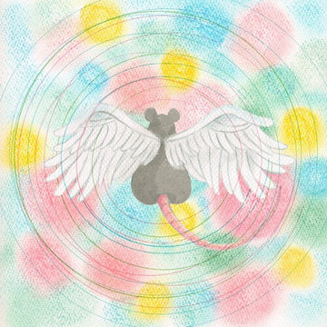 ANIMARU | MUSIC CASSETTE