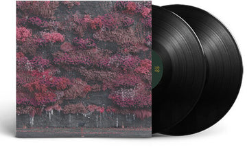 EVEN IN ARCADIA (2LP) | VINYL RECORD (LP)
