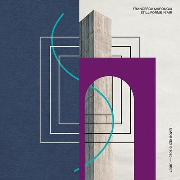 STILL FORMS IN AIR | MUSIC CASSETTE