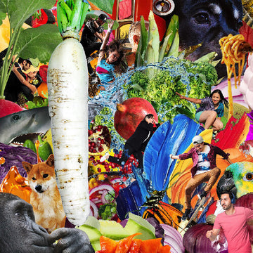 RADIANT RADISH | MUSIC CASSETTE
