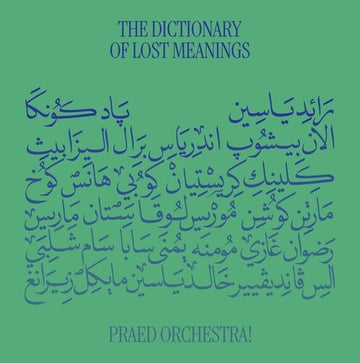 MUSIC FOR THE PAINTINGS OF VED | VINYL RECORD (LP)