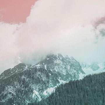 ORGANIC MUSIC TAPES VOL. 4 | MUSIC CASSETTE