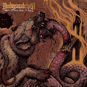 HELL IS HERE & HELL IS HOME | VINYL RECORD (LP)