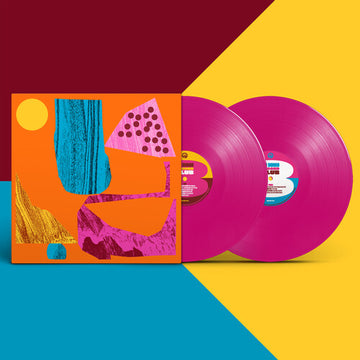 ESTUDANDO O SAMBA | VINYL RECORD (LP)