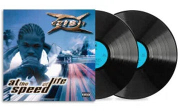 AT THE SPEED OF LIFE (2LP) | VINYL RECORD (LP)