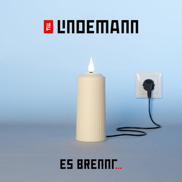 ES BRENNT... | VINYL RECORD (LP)