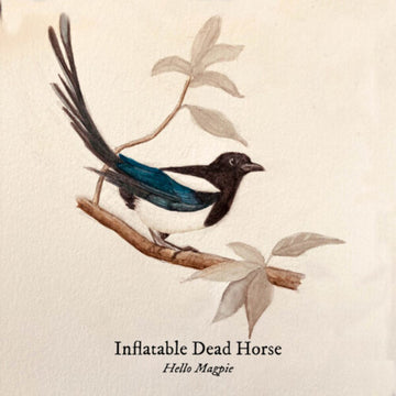HELLO MAGPIE | VINYL RECORD (LP)