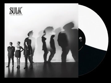 IN THE SHADOW (BLACK/WHITE VINYL) | VINYL RECORD (LP)