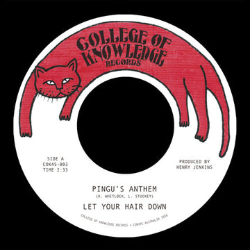 PINGU'S ANTHEM B/W GRONK | 7IN VINYL
