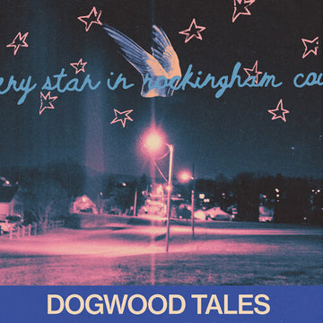 EVERY STAR IN ROCKINGHAM COUNTY | VINYL RECORD (LP)