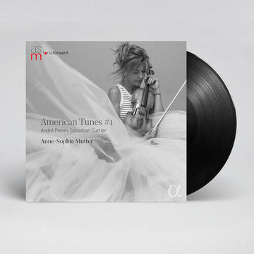 AMERICAN TUNES 1 (2LP) | VINYL RECORD (LP)