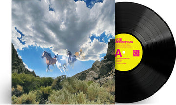 FANTASTIC THOUGHTS | VINYL RECORD (LP)