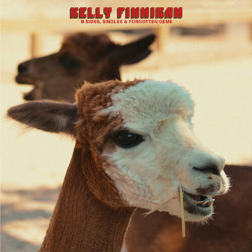 B-SIDES, SINGLES & FORGOTTEN GEMS (FIRE RED VINYL) | VINYL RECORD (LP)