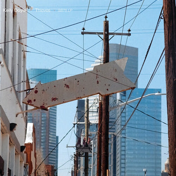 THIEVES | VINYL RECORD (LP)