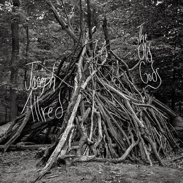 OLD GODS | VINYL RECORD (LP)