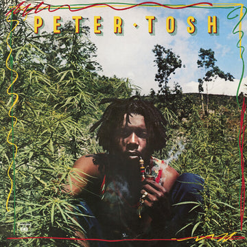 LEGALIZE IT (50TH ANNIVERSARY) (GOLD VINYL) | VINYL RECORD (LP)