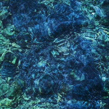 LUMINESCENT CREATURES | VINYL RECORD (LP)