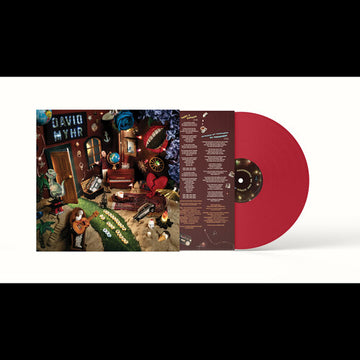 EVERYTHING IS ALL ABOUT YOU | VINYL RECORD (LP)