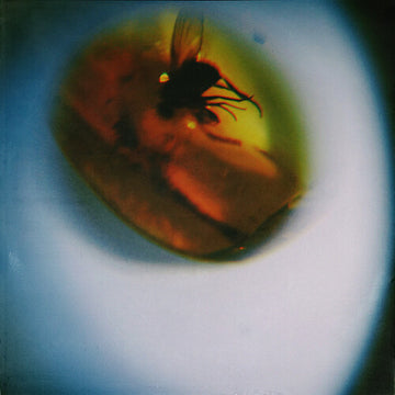 TRADITIONAL NOISE (TRANSLUCENT FLY GREEN VINYL) | VINYL RECORD (LP)