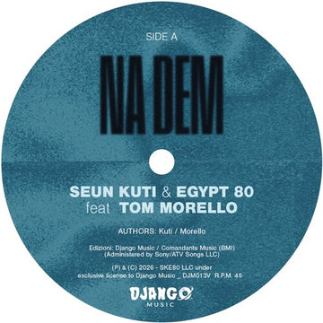 NA DEM / PROBLEMS (45 RPM) | 7IN VINYL