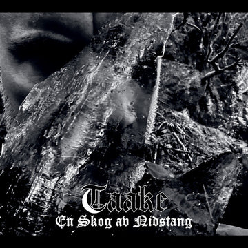 EN SKOG AV NIDSTANG (CLEAR VINYL) | VINYL RECORD (LP)