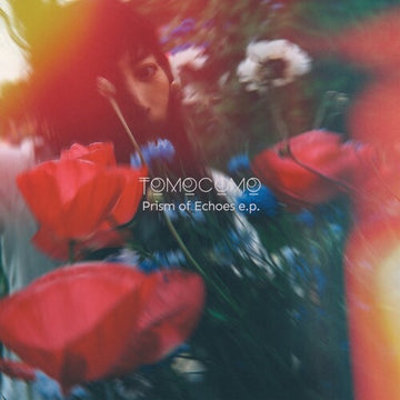 PRISM OF ECHOES | 12IN VINYL