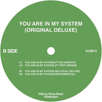 YOU ARE IN MY SYSTEM (ORIGINAL DELUXE VERSION) | 12IN VINYL