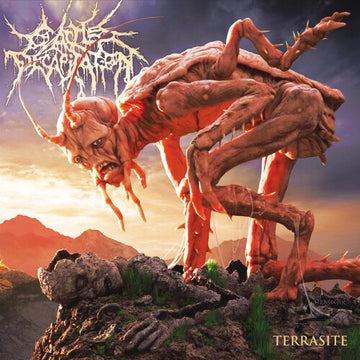TERRASITE | VINYL RECORD (LP)