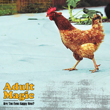 ARE YOU EVEN HAPPY NOW? | VINYL RECORD (LP)
