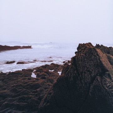 SERENE | VINYL RECORD (LP)