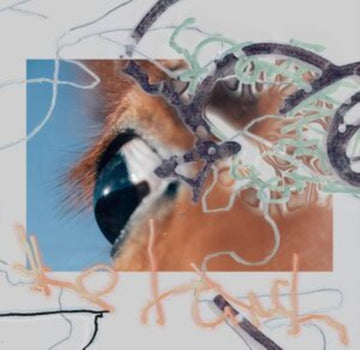 SHAPE OF RAW TO COME | VINYL RECORD (LP)