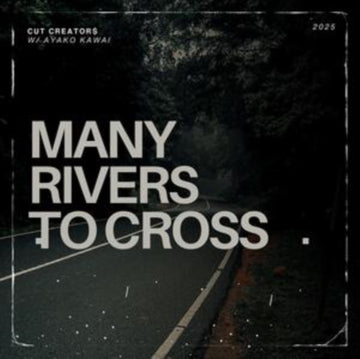 MANY RIVERS TO CROSS | VINYL RECORD (LP)