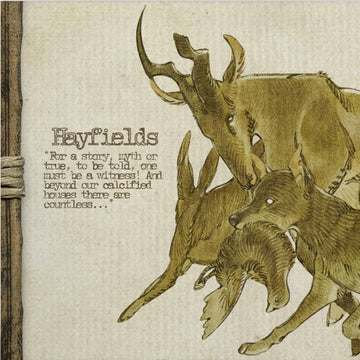 HAYFIELDS | 12IN VINYL