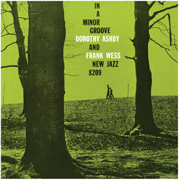IN A MINOR GROOVE (CLEAR WITH RED/GREEN & PURPLE SWIRL VINYL) | VINYL RECORD (LP)
