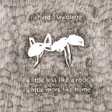 LITTLE LESS LIKE A ROCK, A LITTLE MORE LIKE HOME | VINYL RECORD (LP)