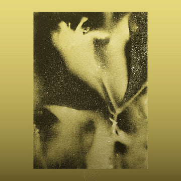 1983 | VINYL RECORD (LP)