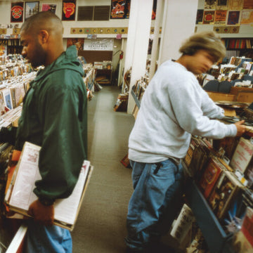 ENDTRODUCING (30TH ANNIVERSARY) | VINYL RECORD (LP)