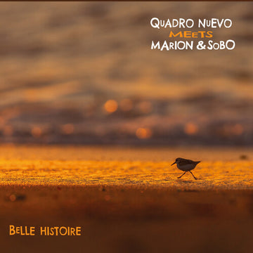 BELLE HISTOIRE | VINYL RECORD (LP)
