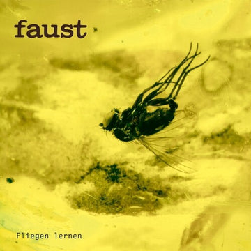 FLIEGEN LERNEN | VINYL RECORD (LP)
