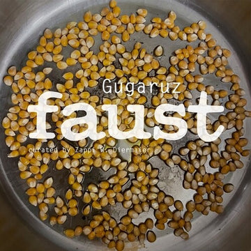 GUGARUZ | VINYL RECORD (LP)