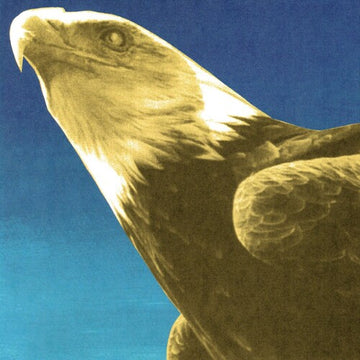HOTEL USONA | VINYL RECORD (LP)