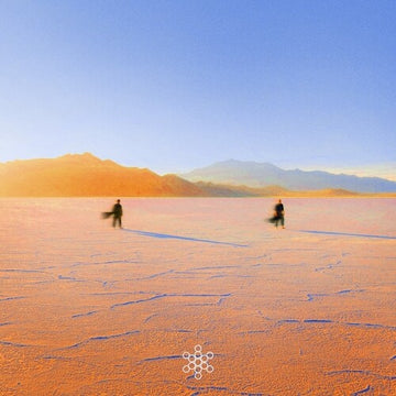 INSIGHT OUT (COLOR VINYL/2LP) | VINYL RECORD (LP)