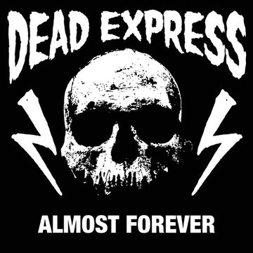 ALMOST FOREVER | VINYL RECORD (LP)